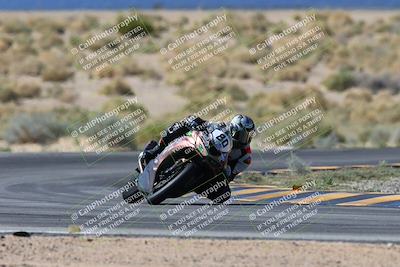 media/Apr-07-2024-CVMA (Sun) [[53b4d90ad0]]/Race 2 Supersport Middleweight/